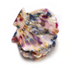 Call My Shell Hair Clips